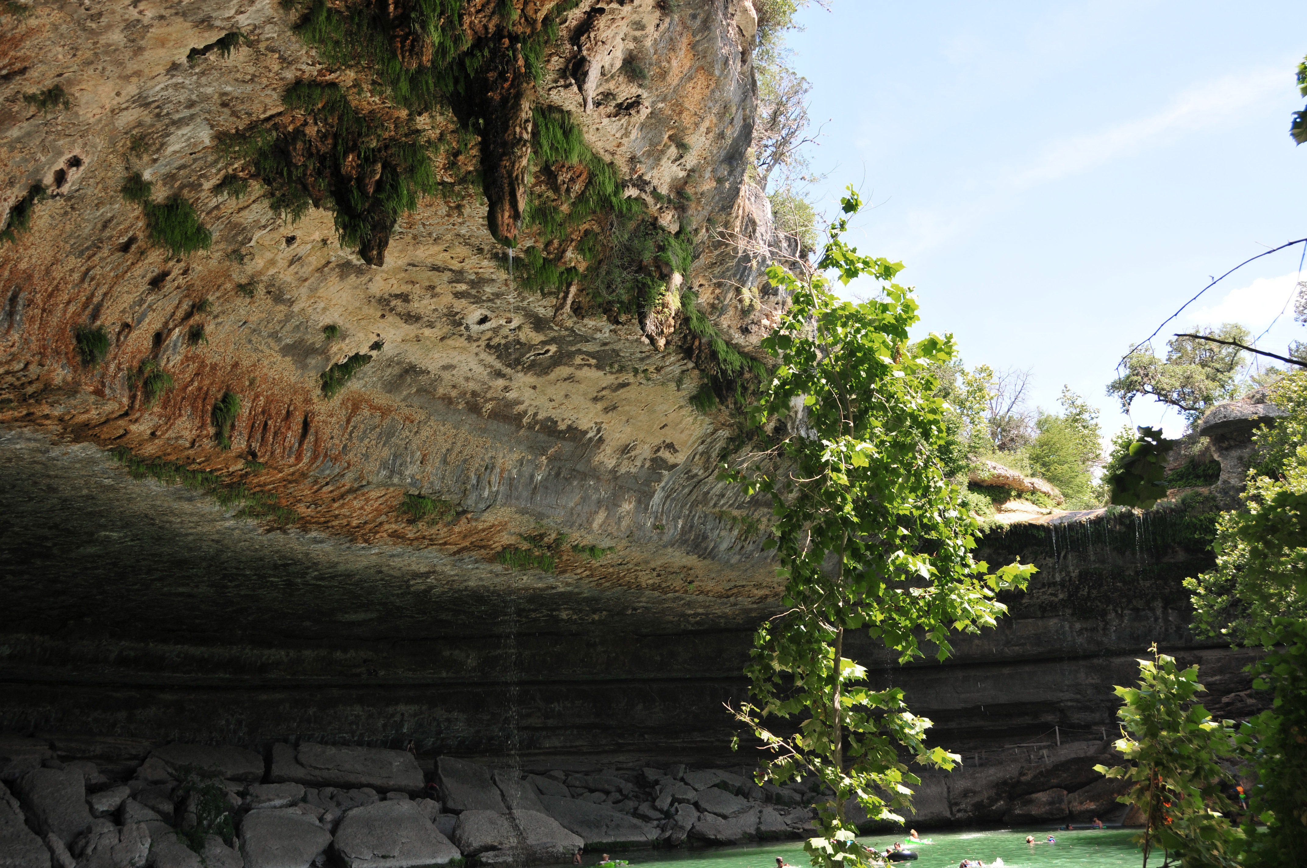 cove2