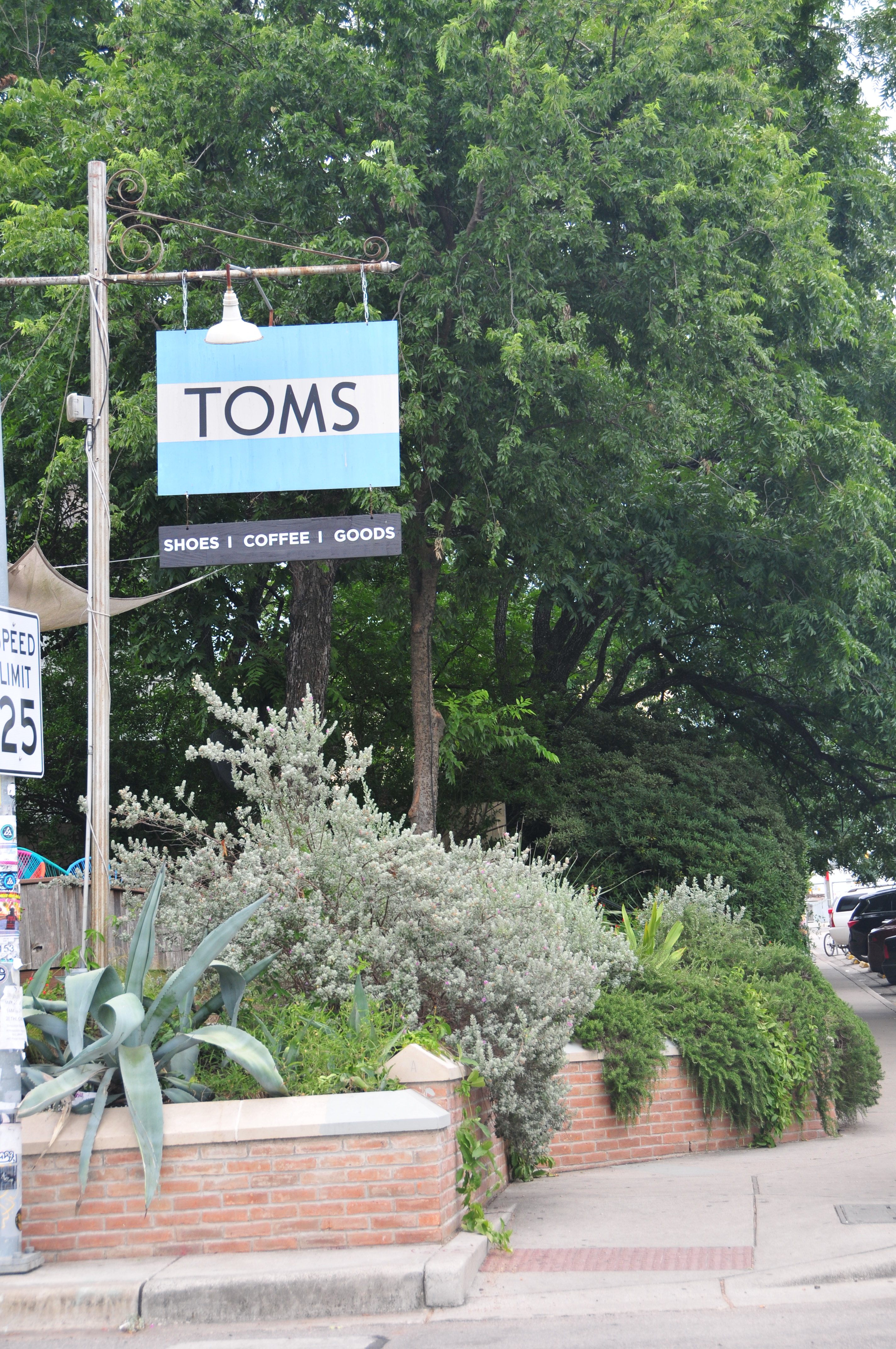 toms 1