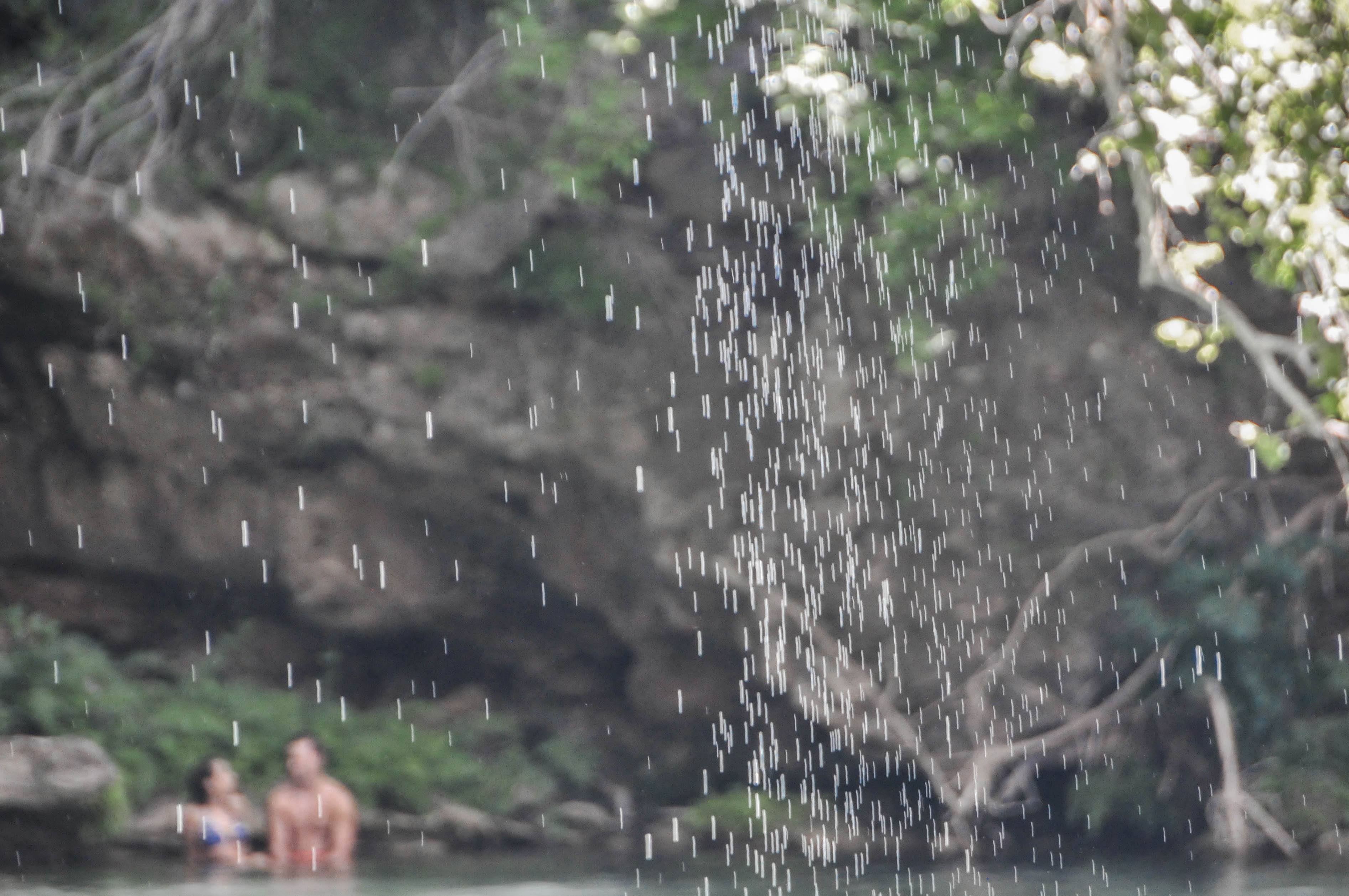 DSC_5458